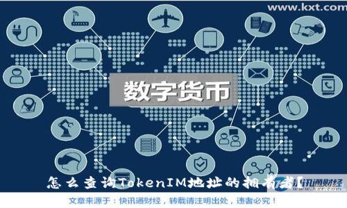 怎么查询TokenIM地址的拥有者？