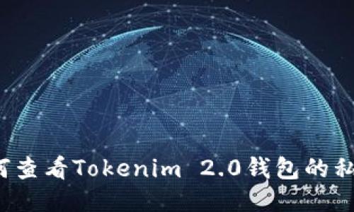 如何查看Tokenim 2.0钱包的私钥？