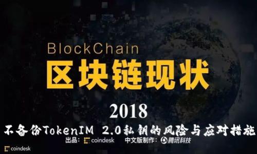 不备份TokenIM 2.0私钥的风险与应对措施