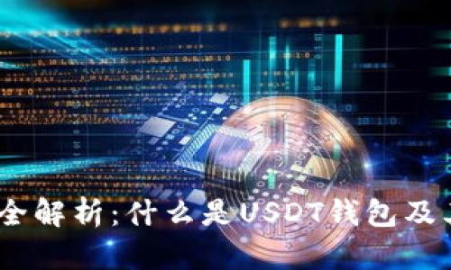 USDT钱包全解析：什么是USDT钱包及其使用指南