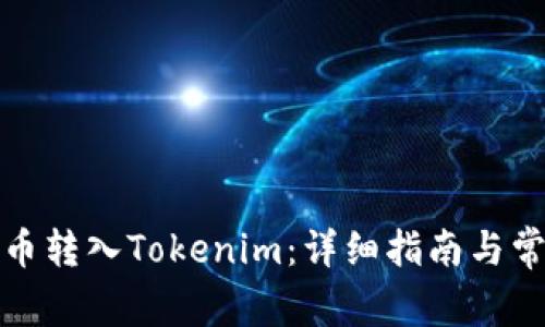 如何把币转入Tokenim：详细指南与常见问题