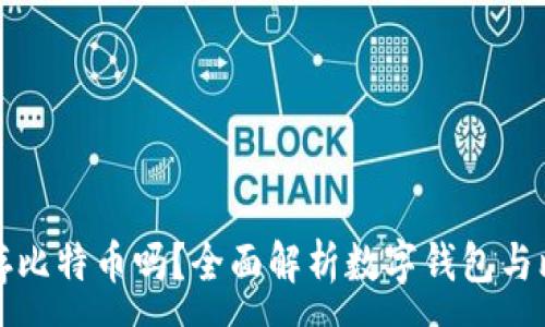 :
数字钱包能存比特币吗？全面解析数字钱包与比特币的关系