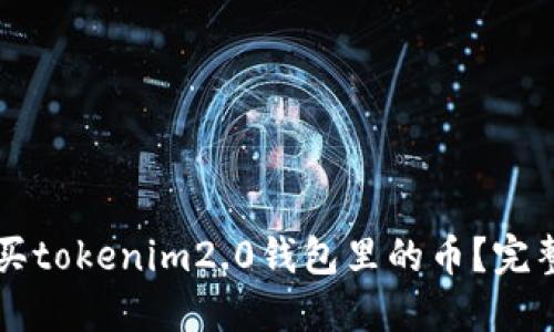怎么买tokenim2.0钱包里的币？完整指南
