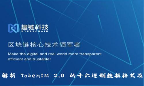 : 深入解析 TokenIM 2.0 的十六进制数据格式及其应用