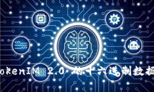 : 深入解析 TokenIM 2.0 的十六进制数据格式及其应用