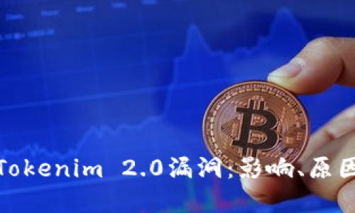 : 全面解读Tokenim 2.0漏洞：影响、原因及解决方案