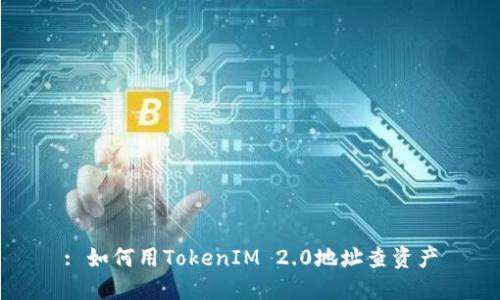 : 如何用TokenIM 2.0地址查资产
