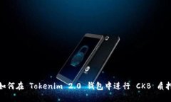 如何在 Tokenim 2.0 钱包中进