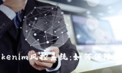 全面解析Tokenim风控系统：