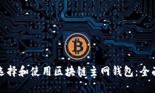 如何选择和使用区块链主网钱包：全面指南