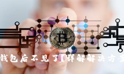 虚拟币导入钱包后不见了？详解解决方案与预防措施