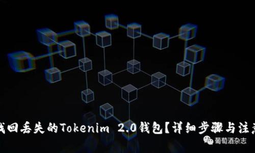 如何找回丢失的Tokenim 2.0钱包？详细步骤与注意事项