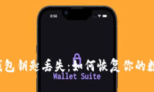 比特币钱包钥匙丢失：如何恢复你的数字资产？