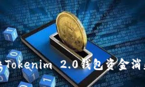 如何解决Tokenim 2.0钱包资金消失的问题