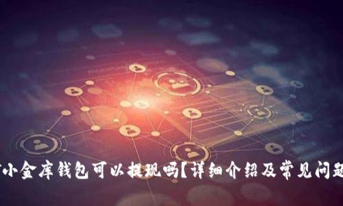 USDT小金库钱包可以提现吗？详细介绍及常见问题解答
