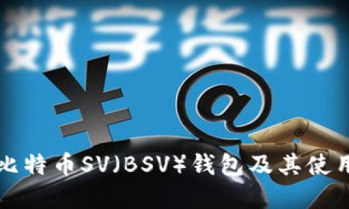 详解比特币SV（BSV）钱包及其使用指南