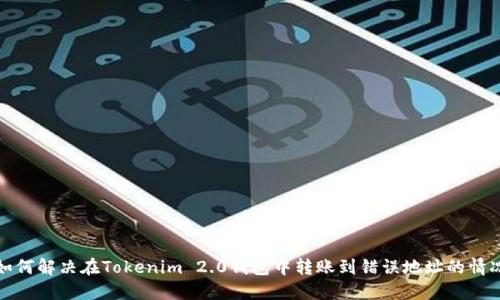 如何解决在Tokenim 2.0钱包中转账到错误地址的情况