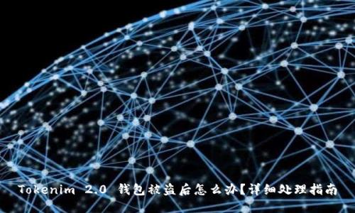 Tokenim 2.0 钱包被盗后怎么办？详细处理指南