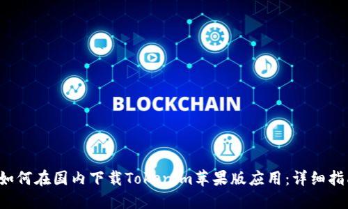  如何在国内下载Tokenim苹果版应用：详细指南