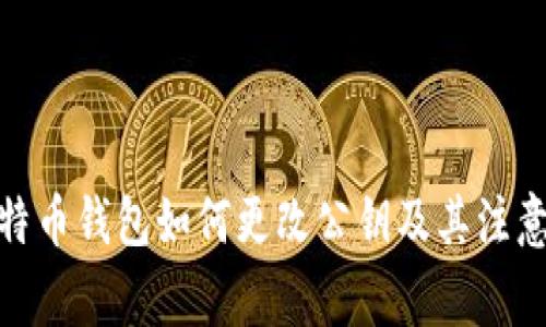 : 比特币钱包如何更改公钥及其注意事项