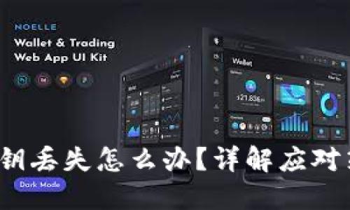  区块链钱包私钥丢失怎么办？详解应对策略与解决方案