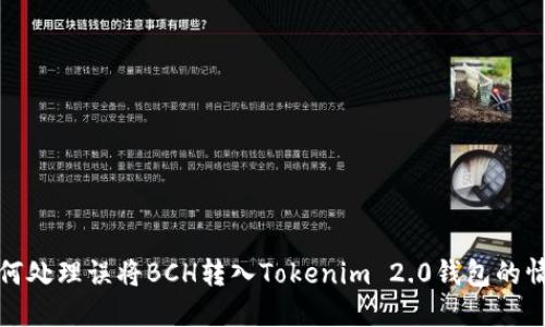 如何处理误将BCH转入Tokenim 2.0钱包的情况