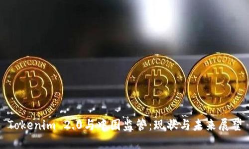 Tokenim 2.0与中国监管：现状与未来展望