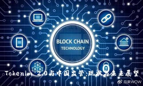 Tokenim 2.0与中国监管：现状与未来展望