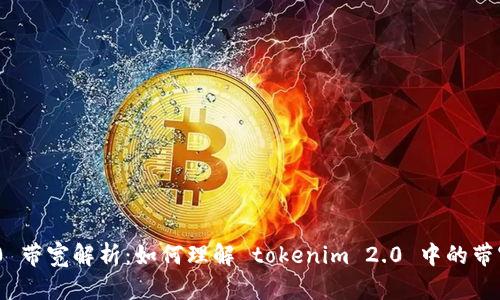 Tokenim 2.0 带宽解析：如何理解 tokenim 2.0 中的带宽含义及应用