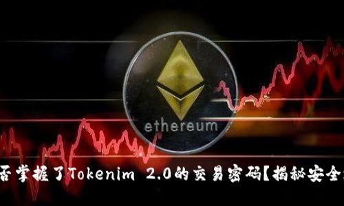 你是否掌握了Tokenim 2.0的交易密码？揭秘安全之道！