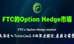 ETC无法进入Tokenim2.0的深度