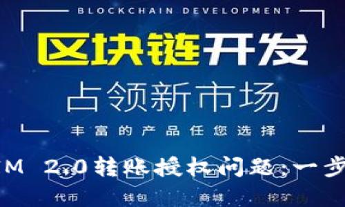 如何解决TokenIM 2.0转账授权问题：一步步带你破解难题