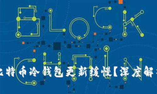 为什么你的比特币冷钱包更新缓慢？深度解析与应对策略