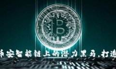 揭秘Tokenim：币安智能链上