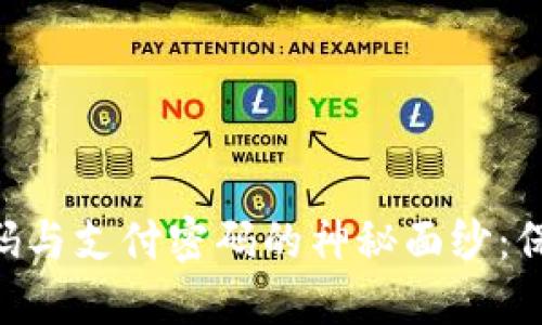 揭开Tokenim密码与支付密码的神秘面纱：保护你的资产安全