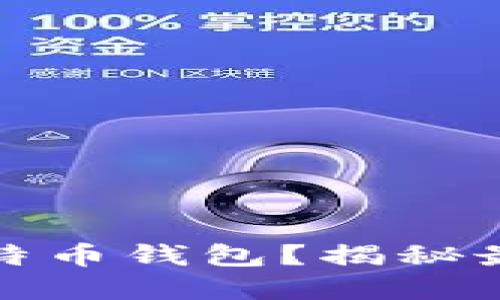 如何选择合适的比特币钱包？揭秘最受欢迎的几种选择