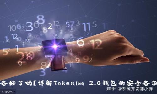 你准备好了吗？详解Tokenim 2.0钱包的安全备份方法