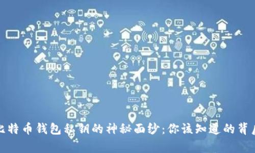 揭开比特币钱包私钥的神秘面纱：你该知道的背后故事