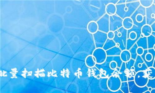 轻松掌握：如何批量扫描比特币钱包余额，获取您的资产现状