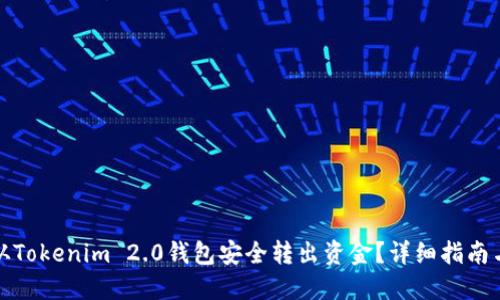 如何从Tokenim 2.0钱包安全转出资金？详细指南与技巧