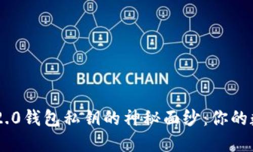 揭开Tokenim 2.0钱包私钥的神秘面纱：你的数字资产保护伞