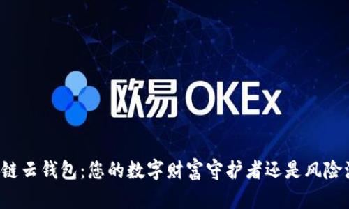 区块链云钱包：您的数字财富守护者还是风险源头？