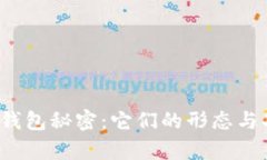 你不知道的比特币钱包秘