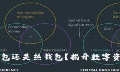 Tokenim：冷钱包还是热钱包