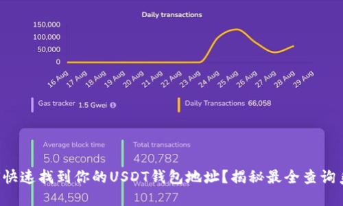 如何快速找到你的USDT钱包地址？揭秘最全查询系统！
