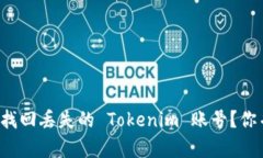 如何轻松找回丢失的 Tok