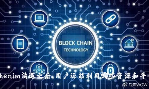 Tokenim清退之后，用户还能利用哪些资源和平台？