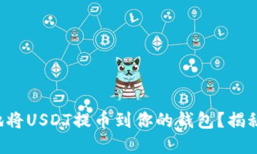 如何快速便捷地将USDT提币到你的钱包？揭秘链名称的选择！