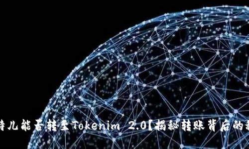 比特儿能否转至Tokenim 2.0？揭秘转账背后的秘密