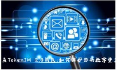 揭秘钓鱼TokenIM 2.0钱包：如